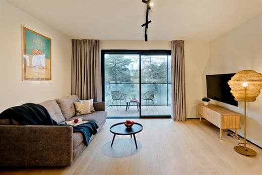 Apartment Image 3