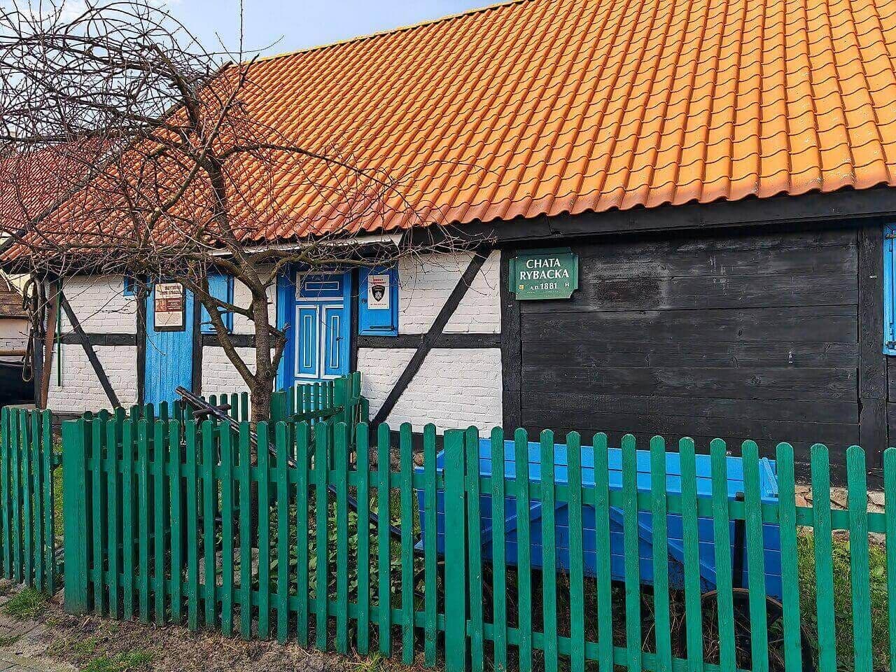 zdjecie