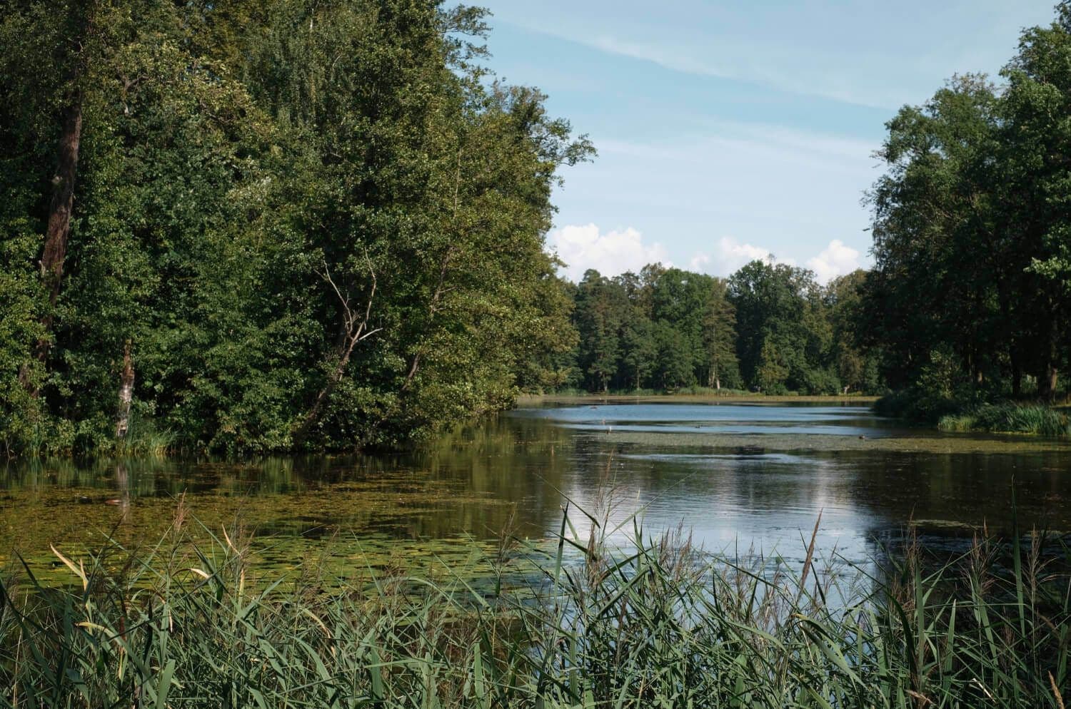nadmorski-park-krajobrazowy